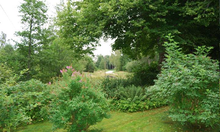 Vy 18 (från norra huset, mot öster)