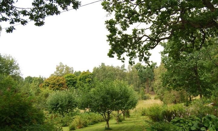 Vy 6 (inre/nedre trädgård, mot hage)